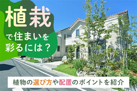 中庭植栽|植栽でおしゃれに住まいを彩るには？ おすすめの植。